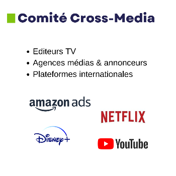 comite cross media mediametrie